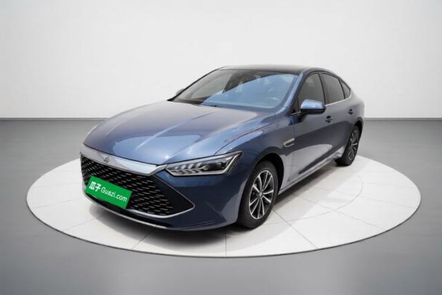 BYD Qin PLUS 2024 HONOR Edition DM-i 55KM Leading Model usado