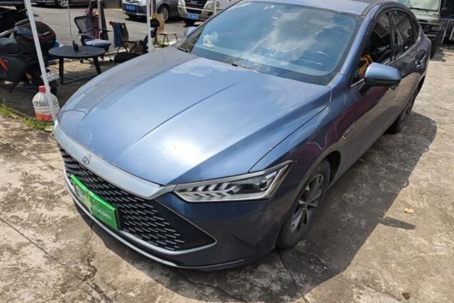 BYD Qin PLUS 2024 HONOR Edition DM-i 55KM Leading Model usado
