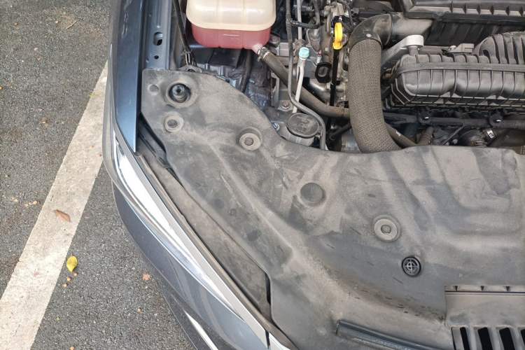 Used BYD Qin PLUS 2024 HONOR Edition DM-i 55KM Leading Model Engine Bay Right
