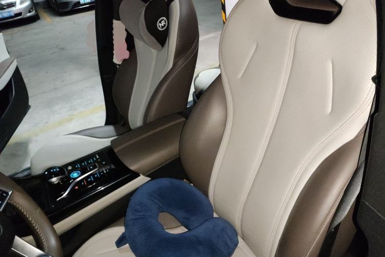 Used BYD Qin PLUS 2024 HONOR Edition DM-i 55KM Leading Model Left Front Seat
