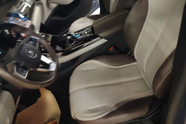 Used BYD Qin PLUS 2024 HONOR Edition DM-i 55KM Leading Model Left Front Seat