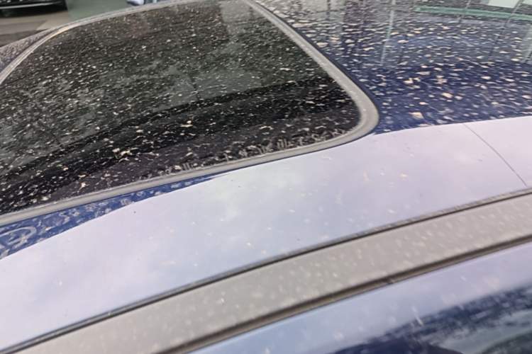 Used BYD Qin PLUS 2024 HONOR Edition DM-i 120KM Beyond Model Roof