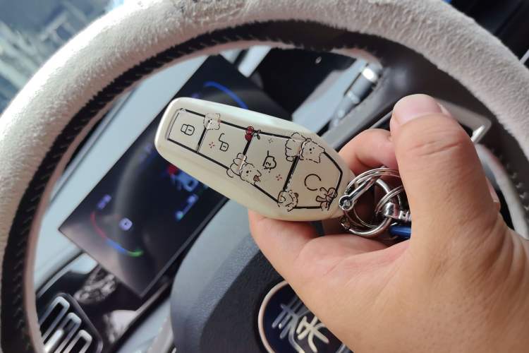 Used BYD Qin PLUS 2024 HONOR Edition DM-i 55KM Leading Model Vehicle Key