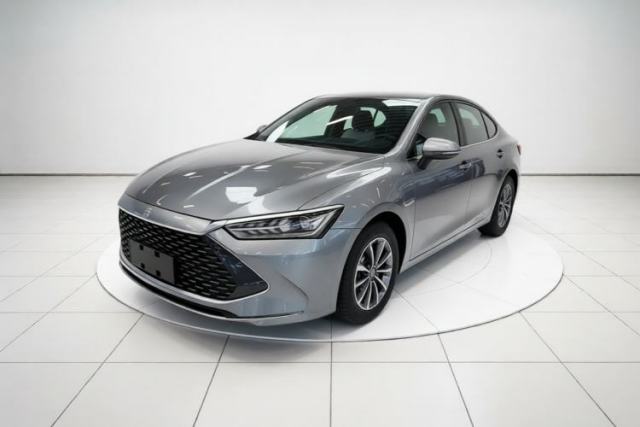 BYD Qin PLUS 2024 HONOR Edition DM-i 55KM Leading Model usado