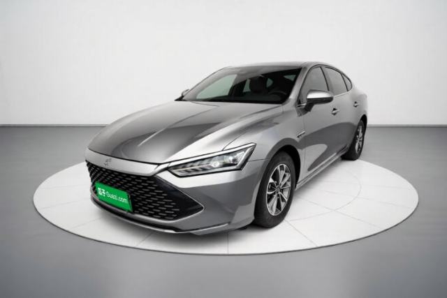 BYD Qin PLUS 2024 HONOR Edition DM-i 55KM Leading Model usado