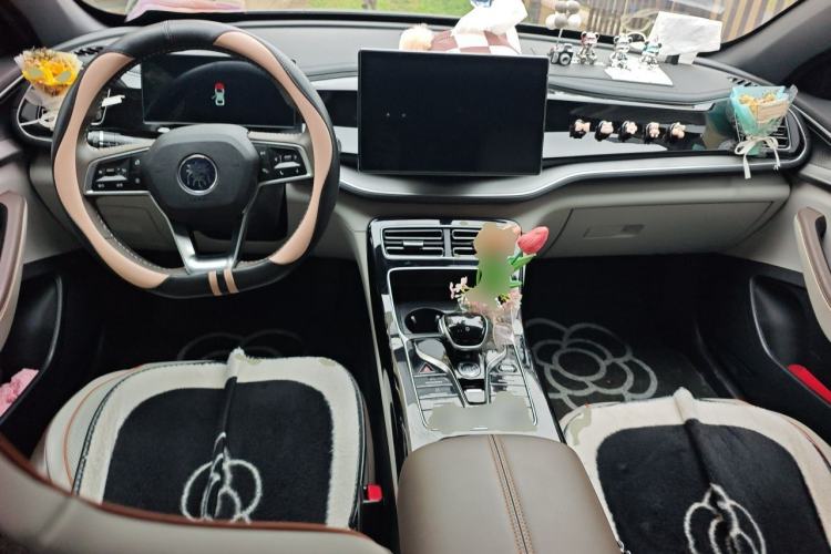 Used BYD Qin PLUS 2024 HONOR Edition DM-i 120KM Beyond Model Center Console
