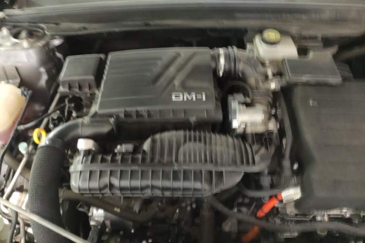 Used BYD Qin PLUS 2024 HONOR Edition DM-i 55KM Leading Model Engine Bay