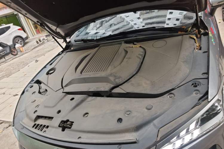 Used BYD Qin PLUS 2024 Honor Edition EV 510KM Leading Model Engine Bay
