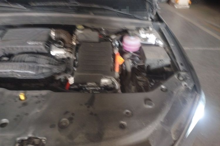 Used BYD Qin PLUS 2024 HONOR Edition DM-i 55KM Leading Model Engine Bay Left