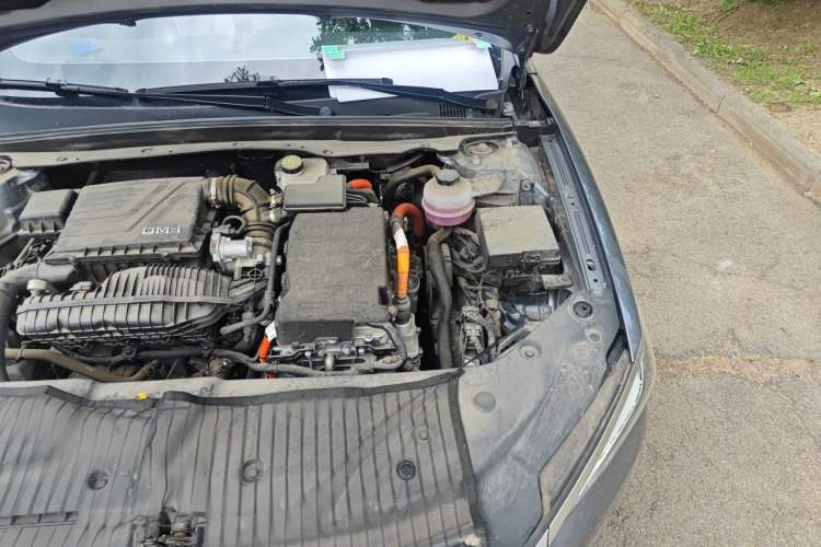 Used BYD Qin PLUS 2024 HONOR Edition DM-i 55KM Leading Model Engine Bay Left