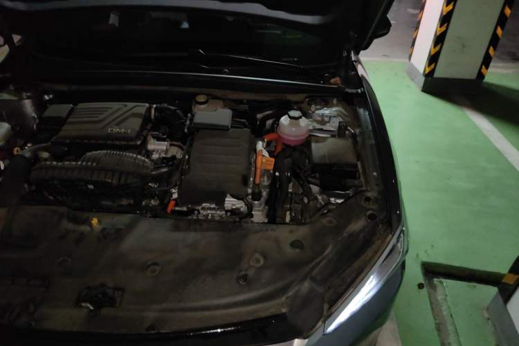 Used BYD Qin PLUS 2024 HONOR Edition DM-i 120KM Leading Model Engine Bay Left