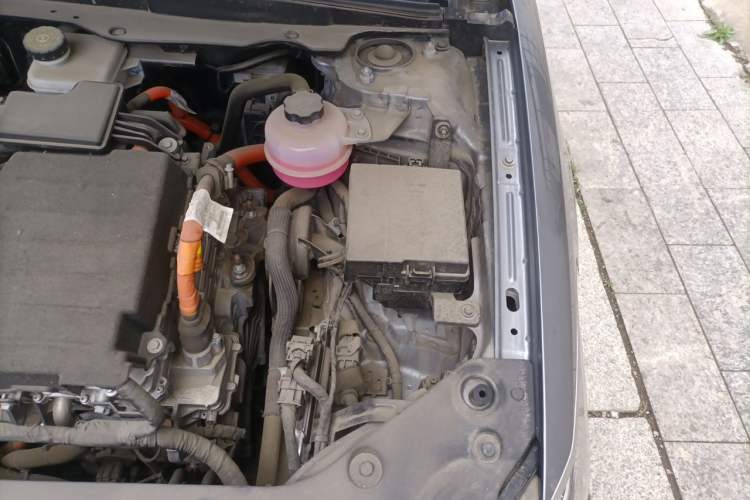 Used BYD Qin PLUS 2024 HONOR Edition DM-i 120KM Leading Model Engine Bay Left