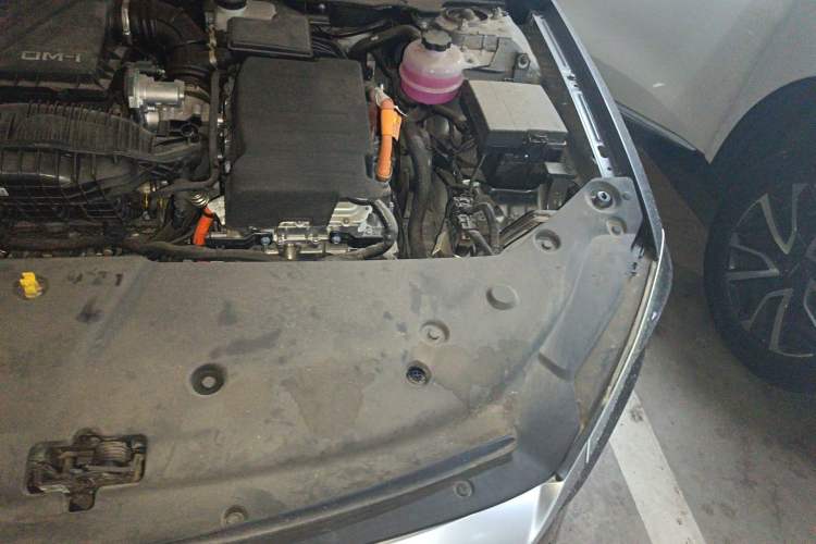 Used BYD Qin PLUS 2024 HONOR Edition DM-i 55KM Leading Model Engine Bay Left