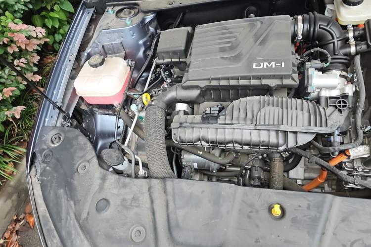 Used BYD Qin PLUS 2024 HONOR Edition DM-i 55KM Leading Model Engine Bay Right