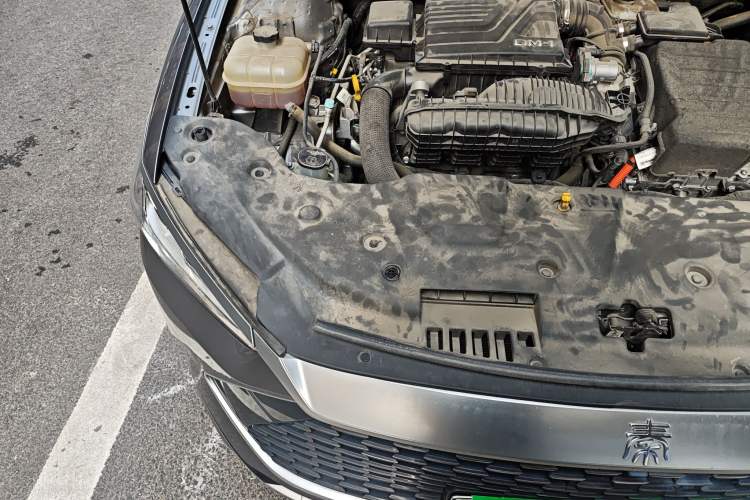 Used BYD Qin PLUS 2024 HONOR Edition DM-i 55KM Leading Model Engine Bay Right
