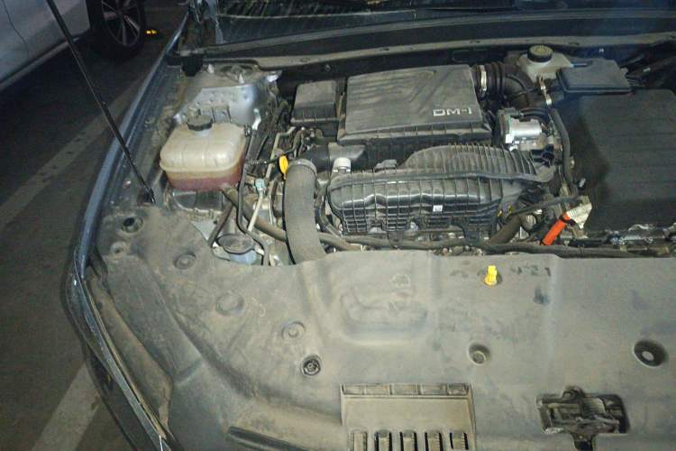Used BYD Qin PLUS 2024 HONOR Edition DM-i 55KM Leading Model Engine Bay Right