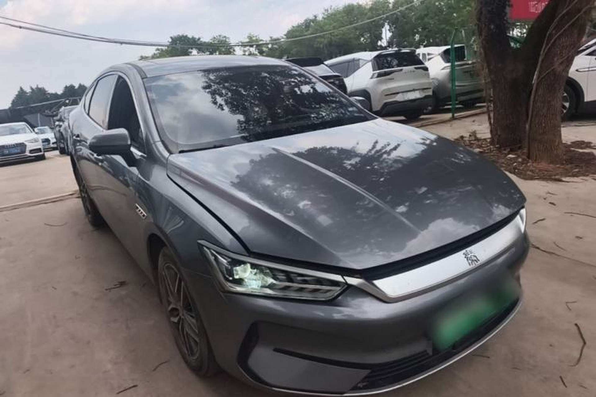 Used BYD Qin PLUS 2024 Honor Edition EV 420KM Beyond Model Exterior 1