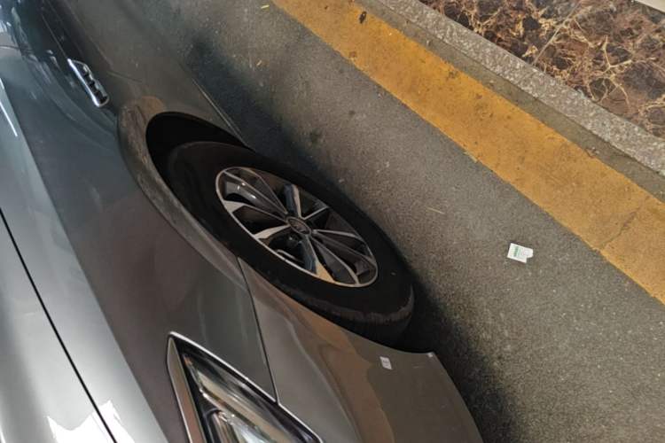 Used BYD Qin PLUS 2024 HONOR Edition DM-i 55KM Leading Model Exterior 4