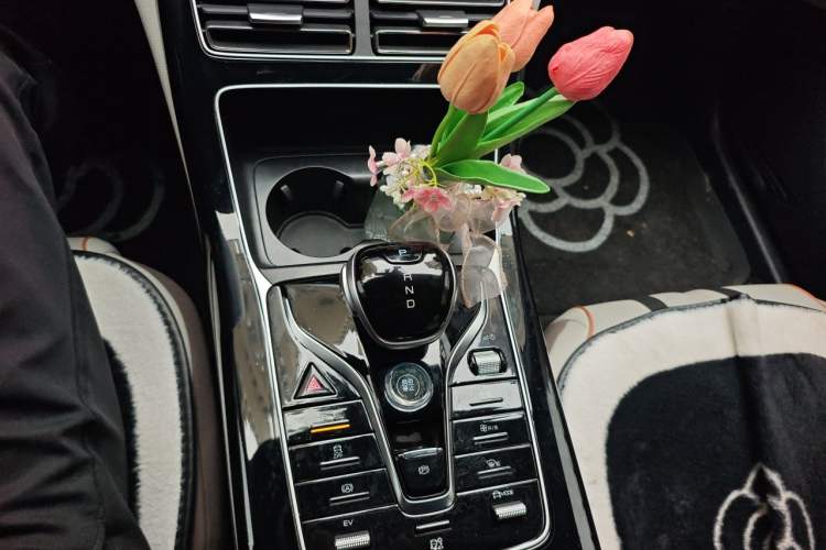 Used BYD Qin PLUS 2024 HONOR Edition DM-i 120KM Beyond Model Gear Lever