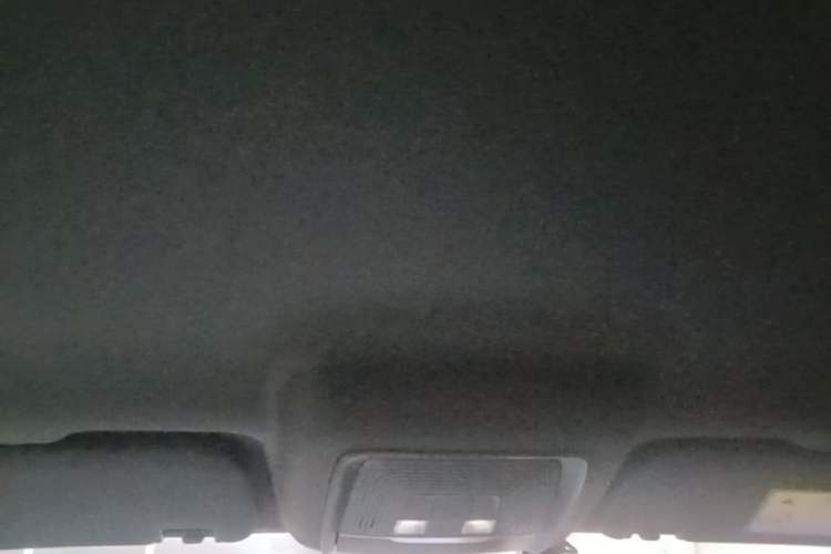 Used BYD Qin PLUS 2024 Honor Edition EV 420KM Leading Model Headliner