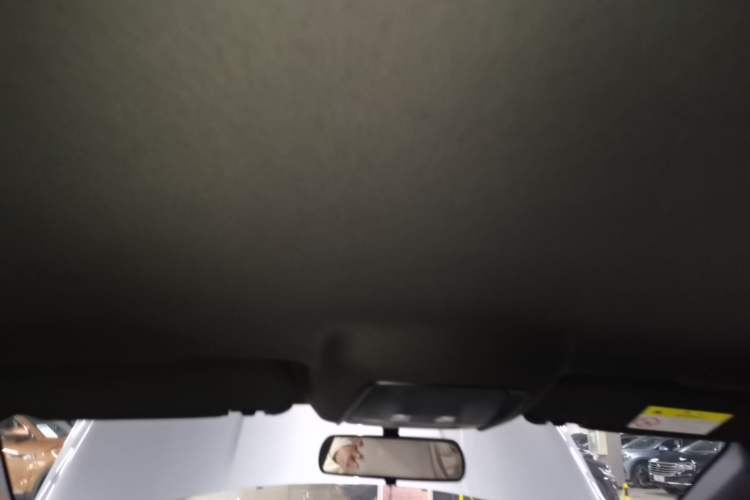 Used BYD Qin PLUS 2024 Honor Edition EV 510KM Leading Model Headliner