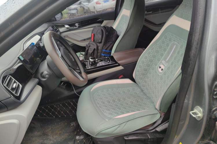 Used BYD Qin PLUS 2024 Honor Edition EV 510KM Leading Model Left Front Seat