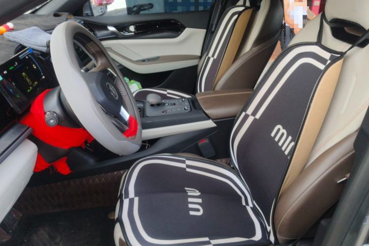 Used BYD Qin PLUS 2024 HONOR Edition DM-i 55KM Leading Model Left Front Seat
