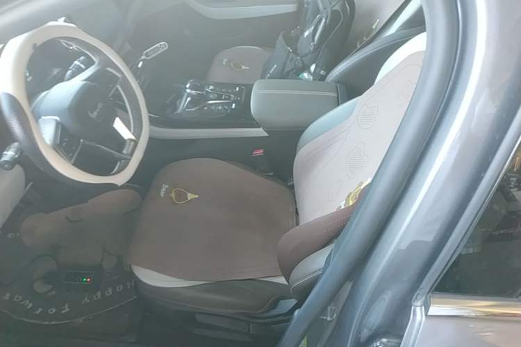 Used BYD Qin PLUS 2024 HONOR Edition DM-i 55KM Leading Model Left Front Seat