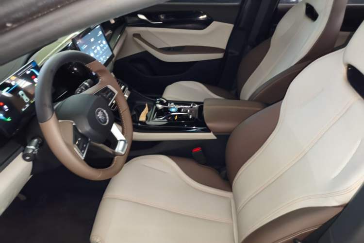 Used BYD Qin PLUS 2024 HONOR Edition DM-i 55KM Leading Model Left Front Seat