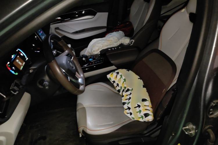Used BYD Qin PLUS 2024 HONOR Edition DM-i 120KM Leading Model Left Front Seat