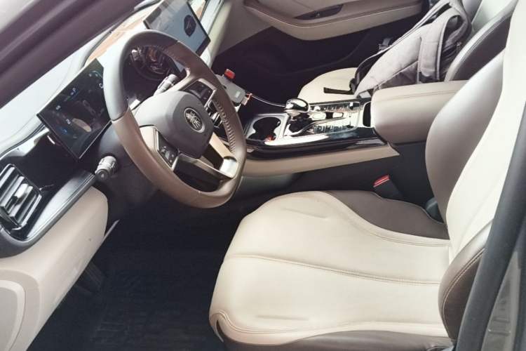 Used BYD Qin PLUS 2024 HONOR Edition DM-i 55KM Leading Model Left Front Seat