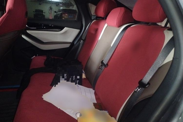 Used BYD Qin PLUS 2024 HONOR Edition DM-i 55KM Leading Model Left Rear Seat