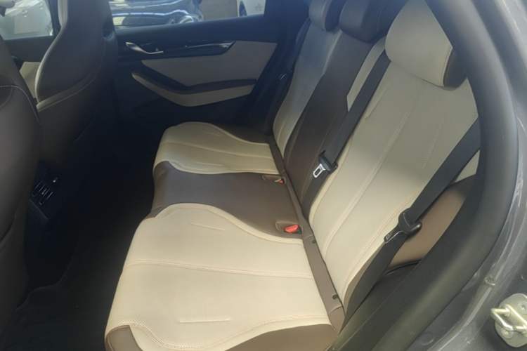 Used BYD Qin PLUS 2024 HONOR Edition DM-i 55KM Leading Model Left Rear Seat