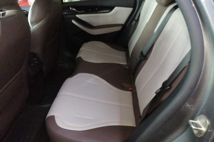 Used BYD Qin PLUS 2024 HONOR Edition DM-i 55KM Leading Model Left Rear Seat