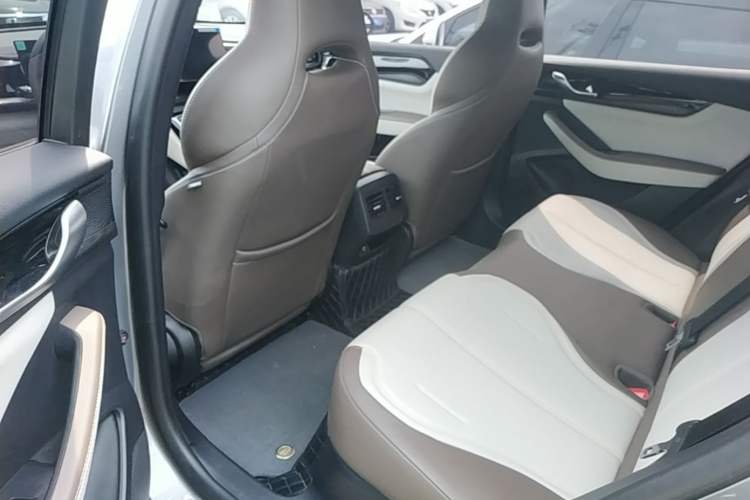 Used BYD Qin PLUS 2024 HONOR Edition DM-i 55KM Leading Model Left Rear Seat