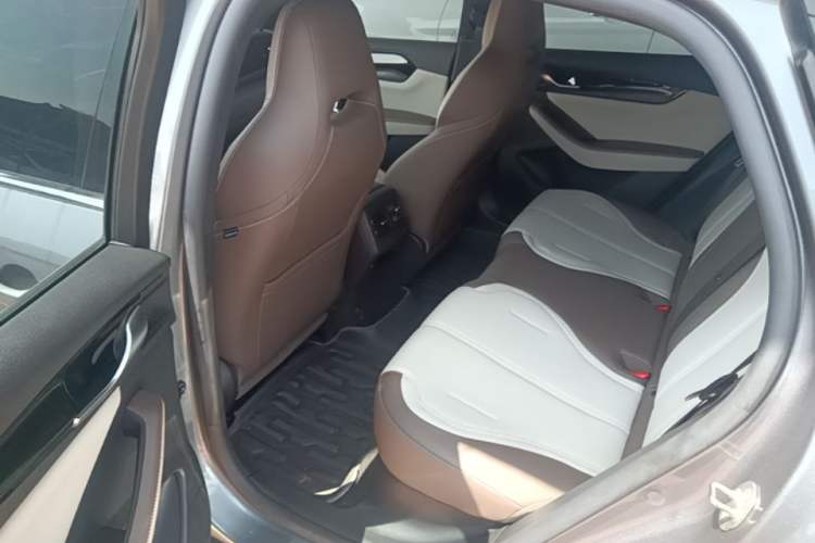 Used BYD Qin PLUS 2024 HONOR Edition DM-i 55KM Leading Model Left Rear Seat