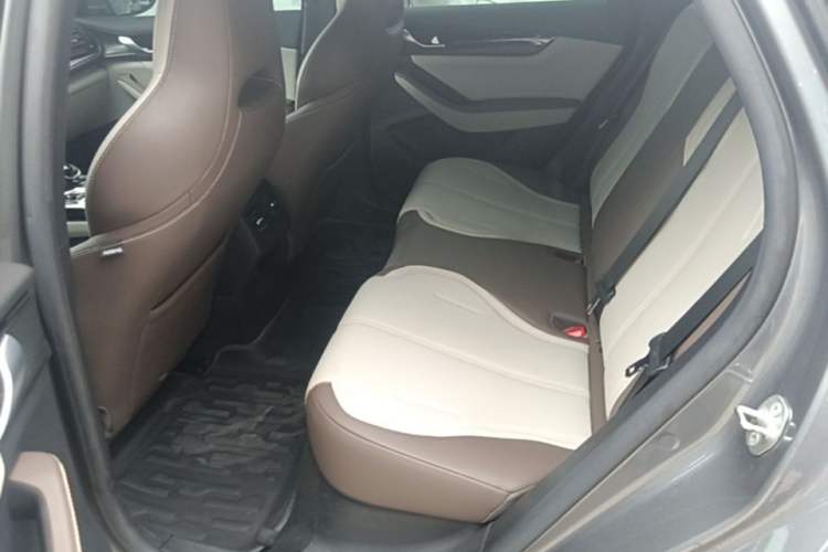Used BYD Qin PLUS 2024 HONOR Edition DM-i 55KM Leading Model Left Rear Seat