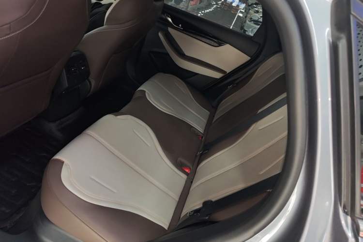 Used BYD Qin PLUS 2024 HONOR Edition DM-i 55KM Leading Model Left Rear Seat