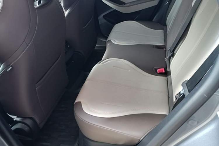 Used BYD Qin PLUS 2024 HONOR Edition DM-i 55KM Leading Model Left Rear Seat