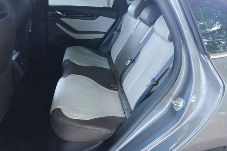 Used BYD Qin PLUS 2024 HONOR Edition DM-i 55KM Leading Model Left Rear Seat