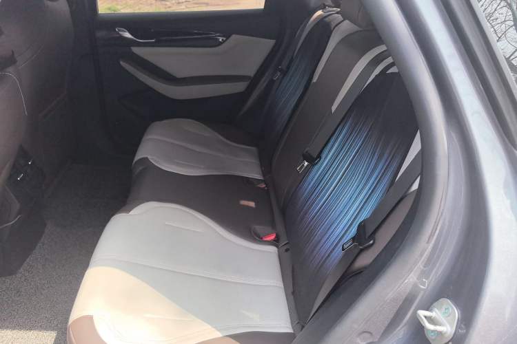 Used BYD Qin PLUS 2024 HONOR Edition DM-i 55KM Leading Model Left Rear Seat