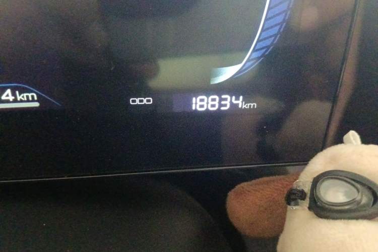 Used BYD Qin PLUS 2024 HONOR Edition DM-i 55KM Leading Model Odometer Close Up