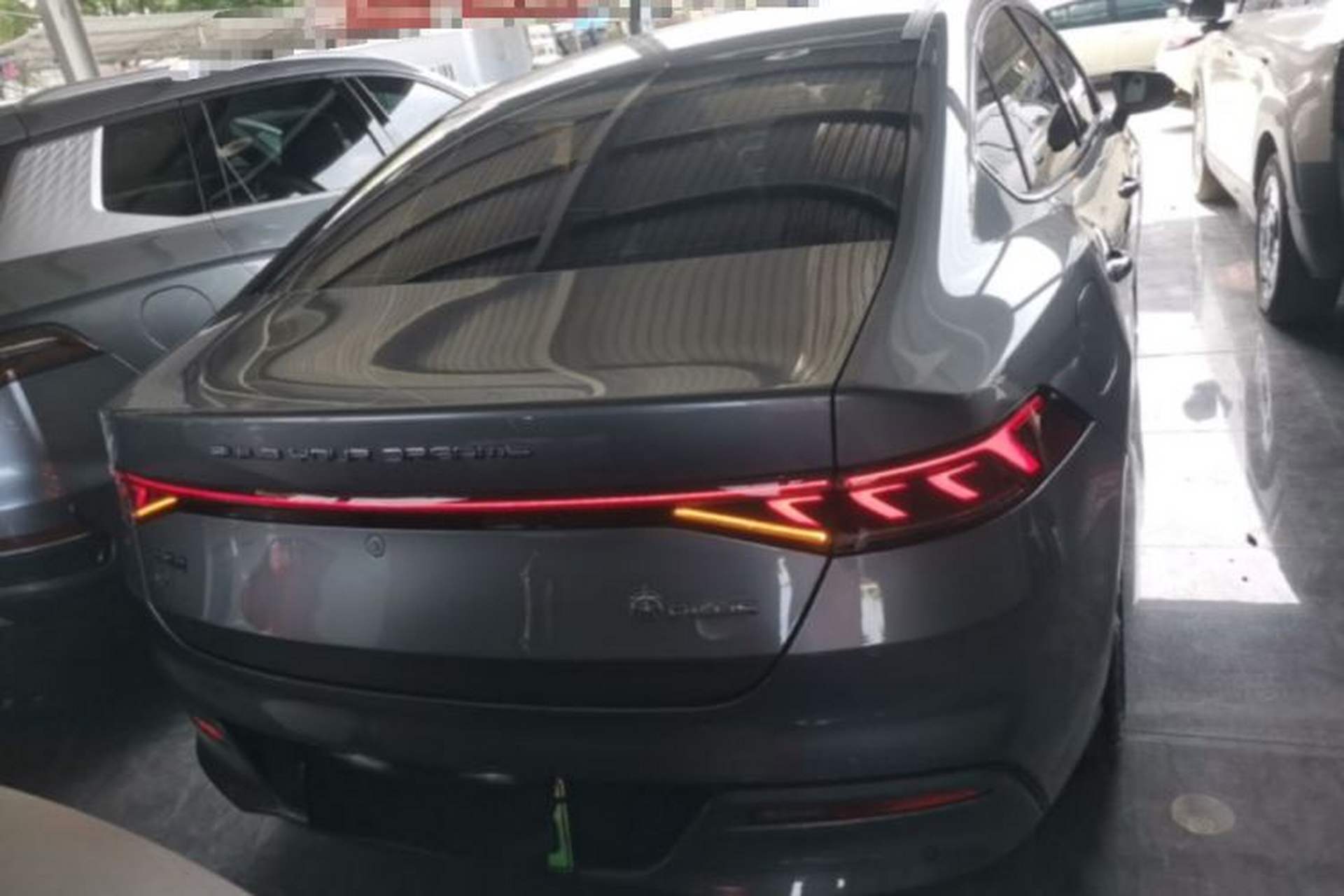 Used BYD Qin PLUS 2024 Honor Edition EV 510KM Leading Model Rear