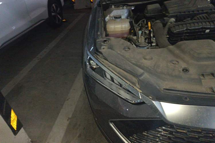 Used BYD Qin PLUS 2024 HONOR Edition DM-i 55KM Leading Model Right Front Headlight