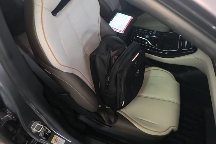 Used BYD Qin PLUS 2024 HONOR Edition DM-i 120KM Leading Model Right Front Seat
