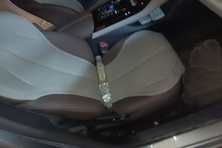 Used BYD Qin PLUS 2024 HONOR Edition DM-i 55KM Leading Model Right Front Seat