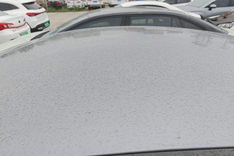 Used BYD Qin PLUS 2024 Honor Edition EV 510KM Leading Model Roof
