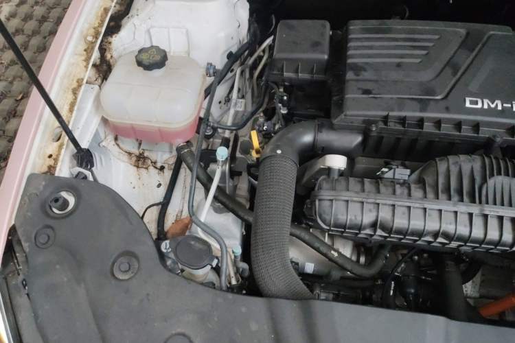 Used BYD Qin PLUS 2024 HONOR Edition DM-i 55KM Leading Model Engine Bay Right