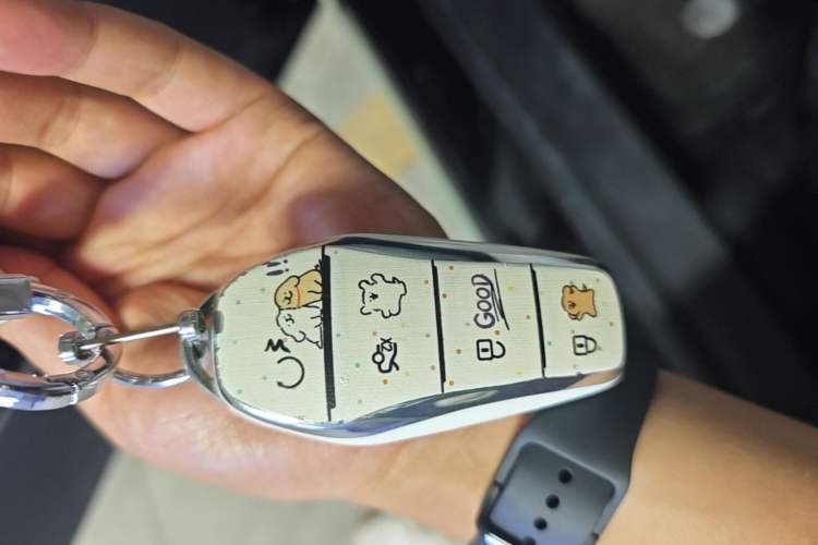 Used BYD Qin PLUS 2024 HONOR Edition DM-i 55KM Leading Model Vehicle Key