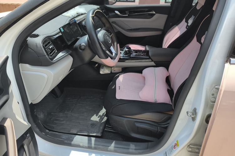 Used BYD Qin PLUS 2024 HONOR Edition DM-i 55KM Leading Model Left Front Seat